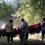 Photo of Ntr Canoe Livery