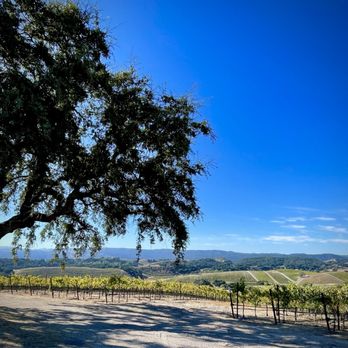Niner Wine Estates - Wine Tasting Room Near Me - Paso Robles, California Niner Wine Estates - Wine Tasting Room Near Me - Paso Robles, California