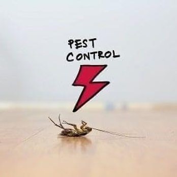 Creepy Crawlers Pest Solutions - Pest Control Near Me Creepy Crawlers Pest Solutions - Pest Control Near Me
