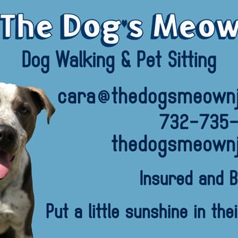 The Dog's Meow - Dog Walkers Near Me The Dog's Meow - Dog Walkers Near Me