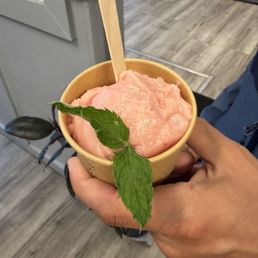 Watermelon Sorbet Watermelon Sorbet
