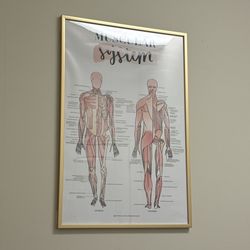 Rathmann-Bouy Chiropractic Clinic