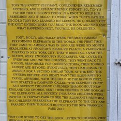 The Knotty Elephant