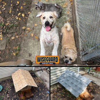 1. WiseGuard Roofing