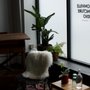 Andersonville Acupuncture Studio