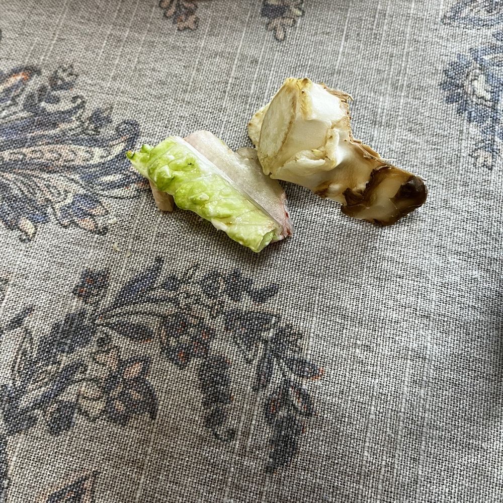 Molded lettuce. Molded lettuce.