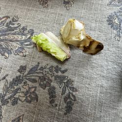 Kneaders Bakery & Cafe - Molded lettuce.