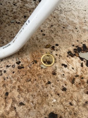 Hurricane Harbor Splashtown by null