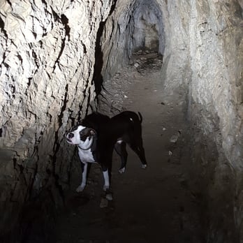 Dawn Mine Hike - Inside the 2nd upper Dawn Mine. This mine goes only 30 feet and is dry - Hiking Near Me - Altadena, California