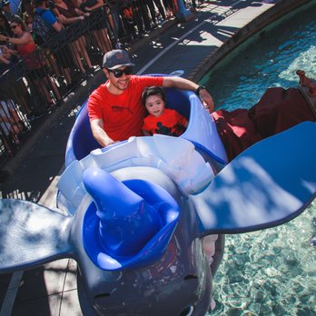Dumbo the Flying Elephant - Happy kiddo! - Amusement Parks Near Me - Anaheim, California Dumbo the Flying Elephant - Happy kiddo! - Amusement Parks Near Me - Anaheim, California