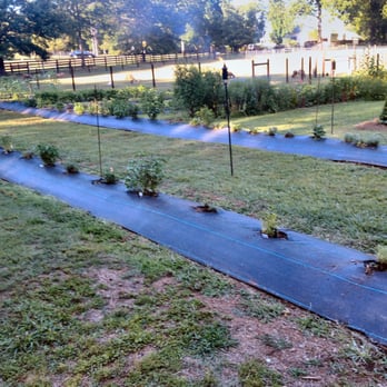 1818 Farms - Beautiful farm gardens on grounds. - Attraction Farms Near Me - Mooresville, Alabama