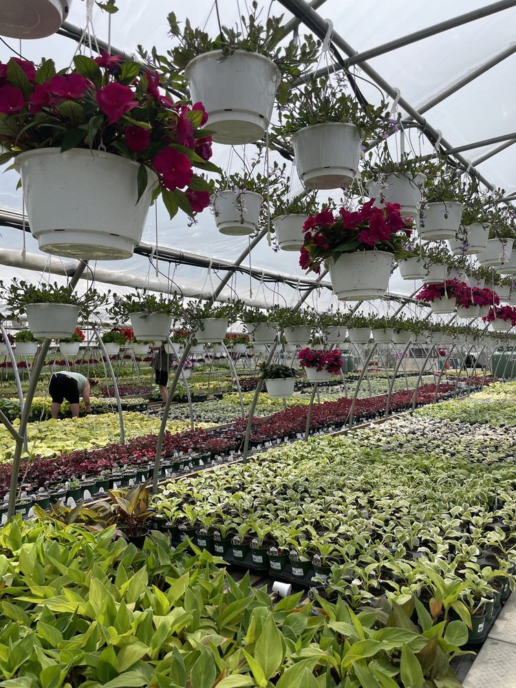 TREE VALLEY GARDEN CENTRE 33 Photos 4431 Stouffville Road