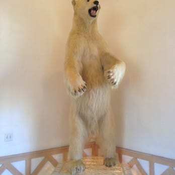 White Oak - Polar Bar in the entry way to the big game room. - Animal Shelters Near Me - Yulee, Florida White Oak - Polar Bar in the entry way to the big game room. - Animal Shelters Near Me - Yulee, Florida