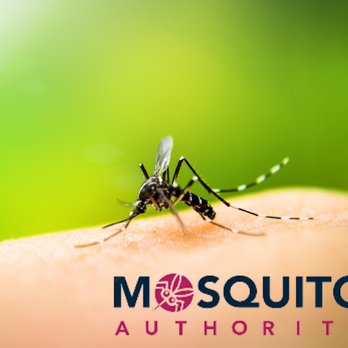 Mosquito Authority - Pest Control Near Me
