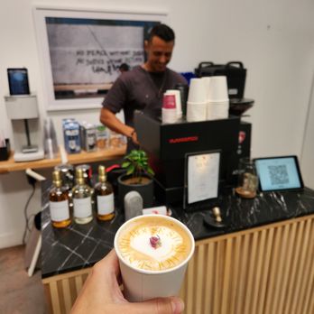 Peregrines Coffee - a person holding a cup of coffee - Coffee & Tea Near Me - Los Angeles, California Peregrines Coffee - a person holding a cup of coffee - Coffee & Tea Near Me - Los Angeles, California
