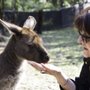 Photo of Localing Tours Melbourne