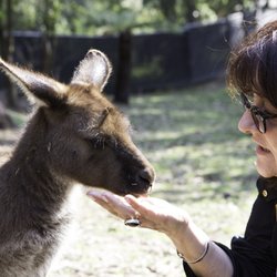 Localing Tours Melbourne - Meeting friends on a luxury wildlife trip through country Victoria.