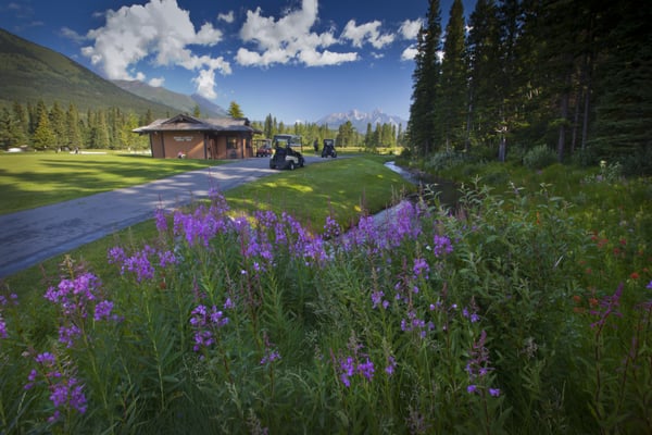Kananaskis Country Golf Course by null