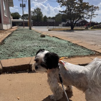 Tyco's Hydroseeding & Excavation - Landscaping Near Me Tyco's Hydroseeding & Excavation - Landscaping Near Me