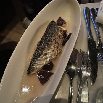 Pammy's - mackerel - Italian Near Me - Cambridge, Massachusetts Pammy's - mackerel - Italian Near Me - Cambridge, Massachusetts
