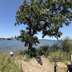 Excelsior Commons Beach