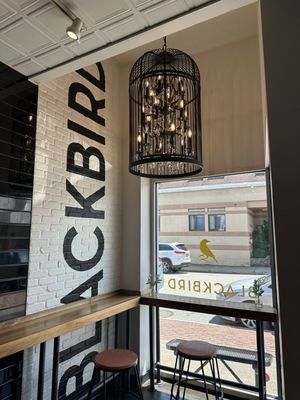 Blackbird Doughnuts Newton Centre by null