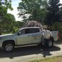 Photo of Four Corners Pest Control