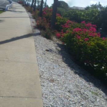 Ringling Causeway Bridge - Beautiful place to walk - Landmarks & Historical Buildings Near Me - Sarasota, Florida Ringling Causeway Bridge - Beautiful place to walk - Landmarks & Historical Buildings Near Me - Sarasota, Florida