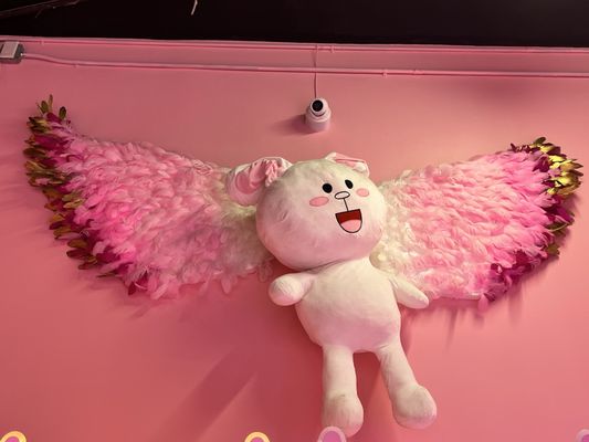 Sweet Cats Union Square by null