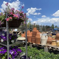 North River Greenhouse & Landscaping - Outdoor area