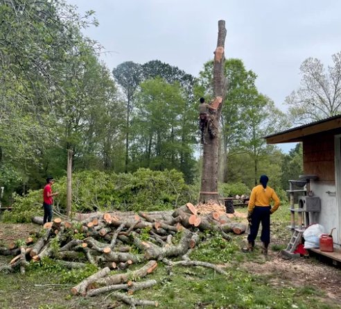 Slide of Godfrey Tree Removal & Roofing