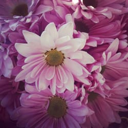 Chicago Flower Exchange