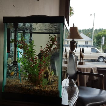 Timber Lodge - Hotels Near Me - Cle Elum, Washington Timber Lodge - Hotels Near Me - Cle Elum, Washington