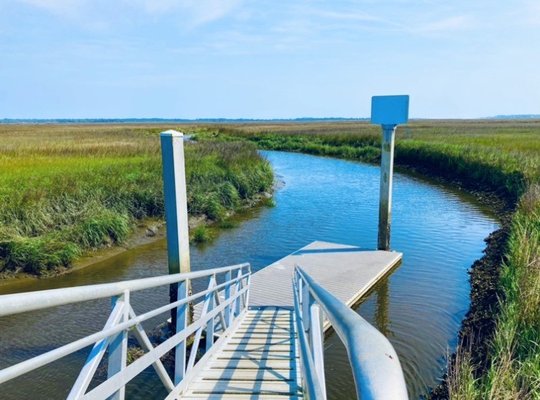 Cannon's Point Preserve by null