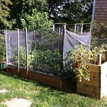 Green City Growers - Fall status, now with pest fencing. - Gardeners Near Me - Somerville, Massachusetts