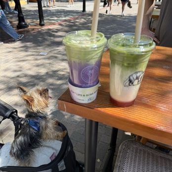 Boba Guys - Coffee & Tea Near Me - San Jose, California Boba Guys - Coffee & Tea Near Me - San Jose, California
