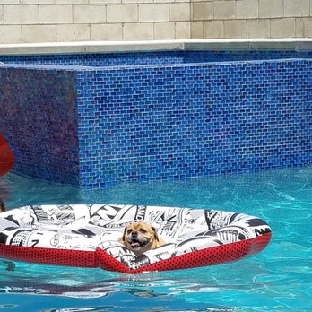 Pool Logic - General Contractors Near Me - San Dimas, California