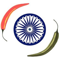Spice Market of India