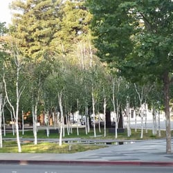 Veteran's Memorial Plaza - Birch trees lined-up at full attention, like the brave fallen soldiers they represent, Veterans Memorial Park salutes its fallen heroes.