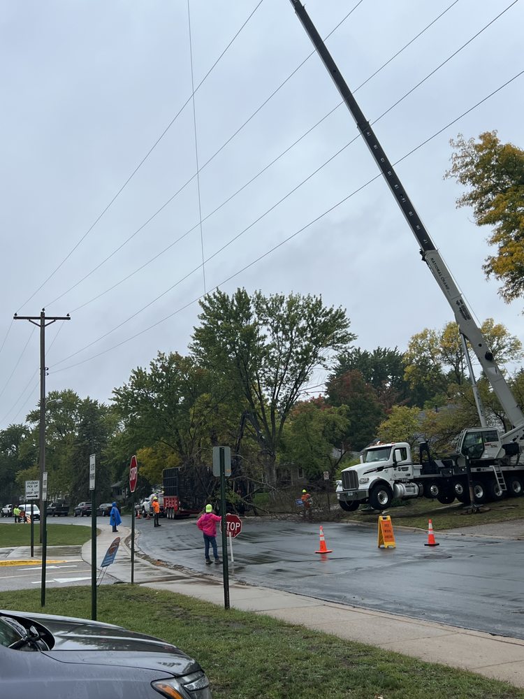 PerfectLTS - tree service in Burnsville, MN