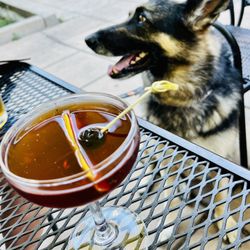 Oberon's Restaurant and Bar - Obe's Manhattan & one happy pup