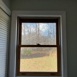Careful Cut Carpentry
