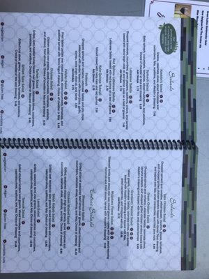 Menu photo 6 Aladdin's Eatery -  Hudson Hudson, OH