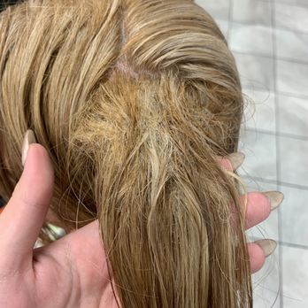 Hair Cuttery - After she brushed it for five and a half hours so it was even worse than this at the start - Hair Stylists Near Me - Sarasota, Florida Hair Cuttery - After she brushed it for five and a half hours so it was even worse than this at the start - Hair Stylists Near Me - Sarasota, Florida