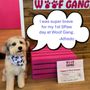 Photo of Woof Gang Bakery & Grooming