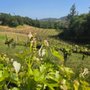 Photo of West Wines