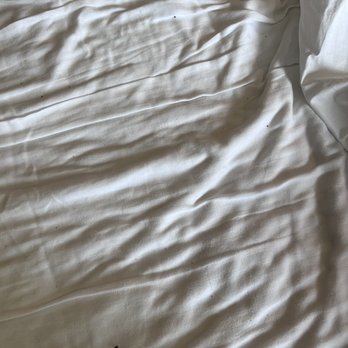 Ascot Suites - Crumbs between the sheets of our trundle bed. This is how it was when we pulled out the bed for our first (and last night) - Hotels Near Me - Morro Bay, California Ascot Suites - Crumbs between the sheets of our trundle bed. This is how it was when we pulled out the bed for our first (and last night) - Hotels Near Me - Morro Bay, California