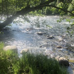 Cottonwood Campground