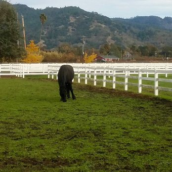 Tamber Bey Vineyards - Wineries Near Me - Calistoga, California