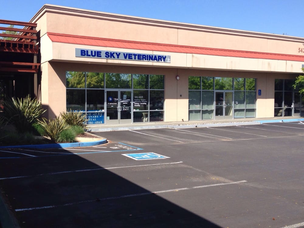 BLUE SKY VETERINARY HOSPITAL CLOSED 16 Reviews 5420 State Farm Dr, Rohnert Park
